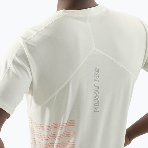 Men's running T-shirt Salomon Sense Aero Tee GFX icicle/neon flame