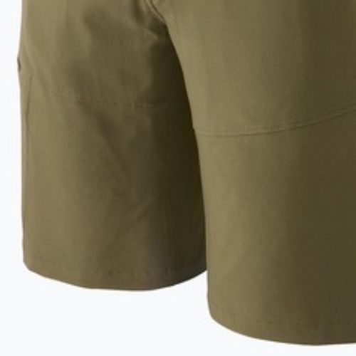 Patagonia men's Terravia Trail 10" tent green shorts