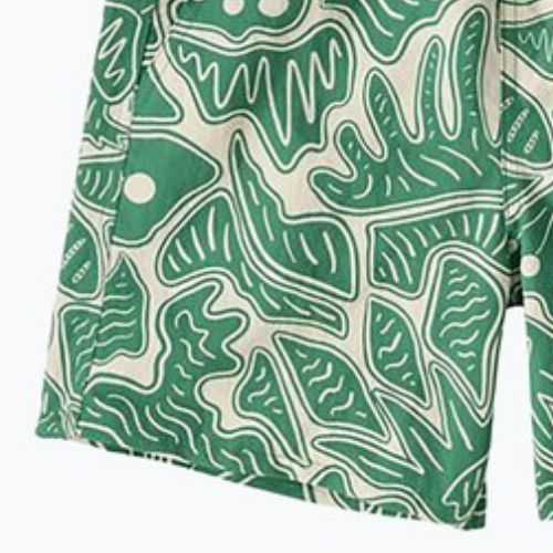 Patagonia Baggies women's shorts 5" bees and flowers/heartleaf green