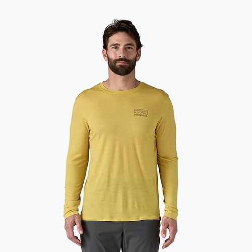 Men's Patagonia Cap Cool Merino Blend Longsleeve Graphic fitz roy strata/bundle green