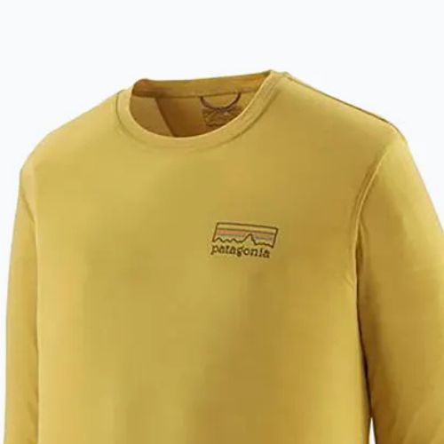 Men's Patagonia Cap Cool Merino Blend Longsleeve Graphic fitz roy strata/bundle green