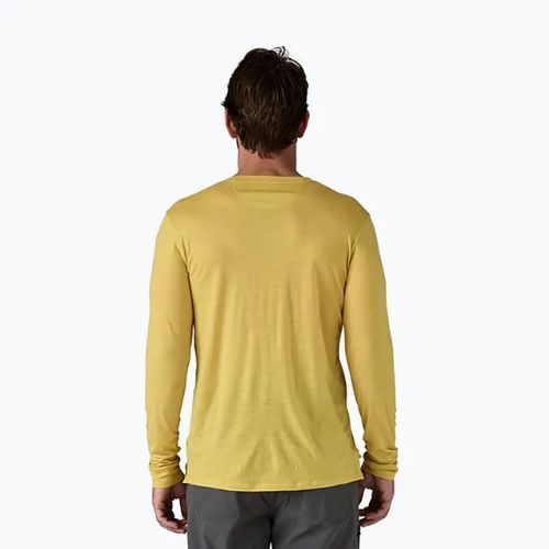 Men's Patagonia Cap Cool Merino Blend Longsleeve Graphic fitz roy strata/bundle green