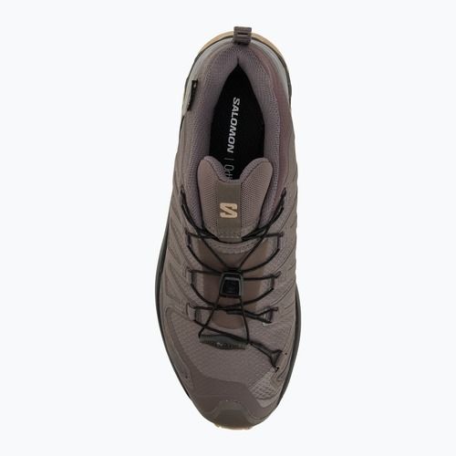 Salomon XA Pro 3D V9 GTX women's running shoes plum kitten/black/gul
