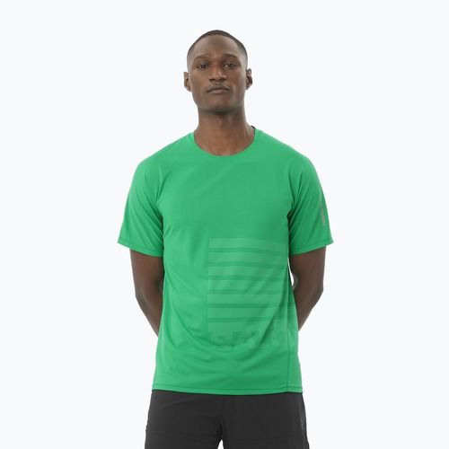 Men's running T-shirt Salomon Sense Aero Tee GFX parakeet / spearmintme
