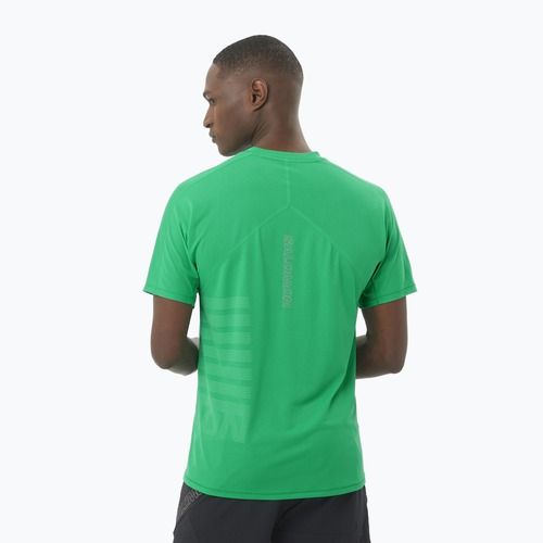 Men's running T-shirt Salomon Sense Aero Tee GFX parakeet / spearmintme
