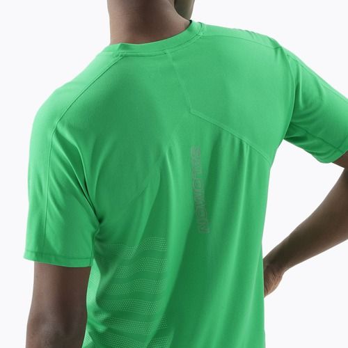 Men's running T-shirt Salomon Sense Aero Tee GFX parakeet / spearmintme