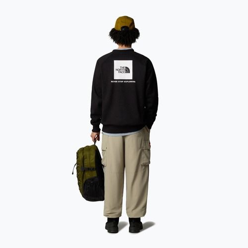 Men's sweatshirt The North Face Raglan Box Nse Crew tnf black