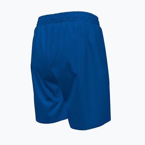 Nike Essential 6" Volley game royal children's swim shorts