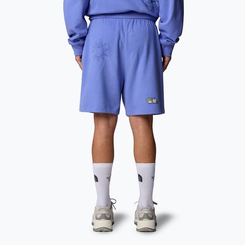The North Face Mountain Cleanup Relaxed virtual blue shorts