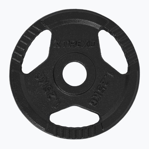 XTREXO cast iron weight TRX-ICP001 1.25 kg chrome