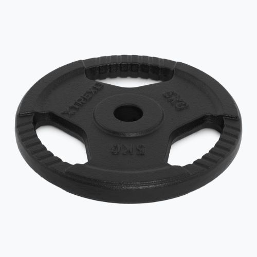 Cast iron weight XTREXO TRX-ICP005 5 kg chrome