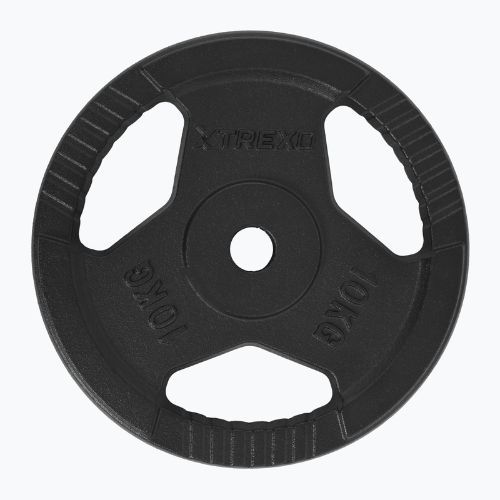 Cast iron weight XTREXO TRX-ICP010 10 kg chrome