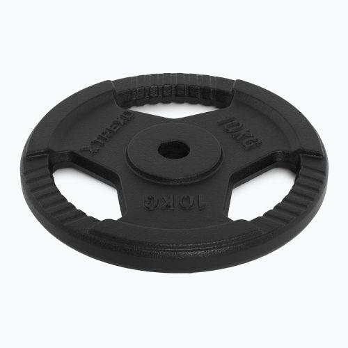 Cast iron weight XTREXO TRX-ICP010 10 kg chrome