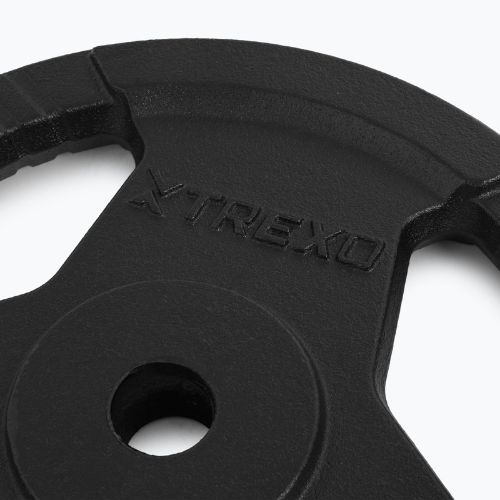 Cast iron weight XTREXO TRX-ICP010 10 kg chrome