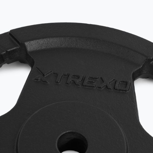 TREXO cast iron weight TRX-ICP015 15 kg chrome