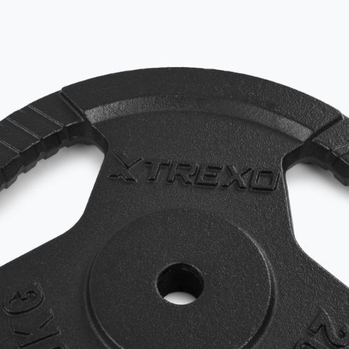 XTREXO cast iron weight TRX-ICP020 20 kg chrome