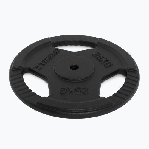 XTREXO cast iron weight TRX-ICP025 25 kg chrome