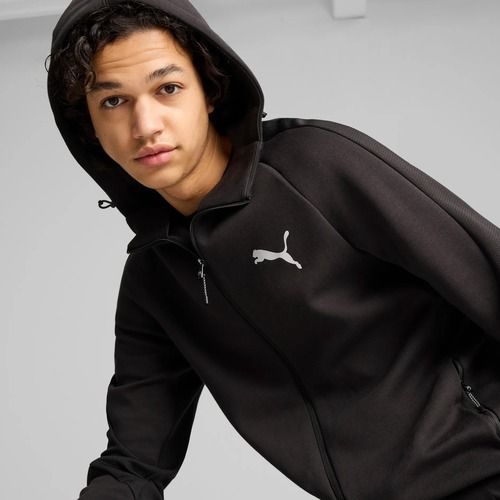 Men's sweatshirt PUMA Evostripe Hoodie FZ DK puma black