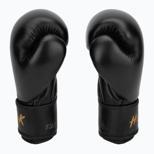 HOOK FIGHTING Ready To Train boxing gloves black