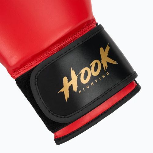 HOOK FIGHTING Ready To Train boxing gloves red