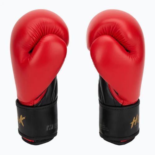 HOOK FIGHTING Ready To Train boxing gloves red