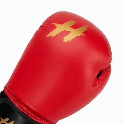 HOOK FIGHTING Ready To Train boxing gloves red
