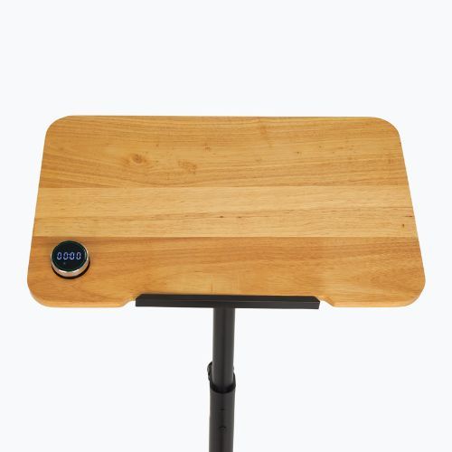 Electric bike XTREXO EB400-desk black