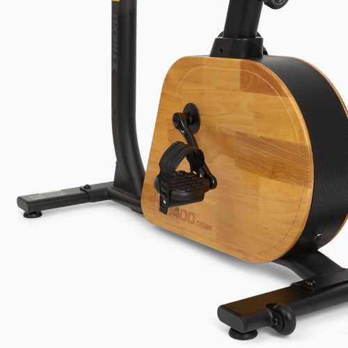 Electric bike XTREXO EB400-desk black