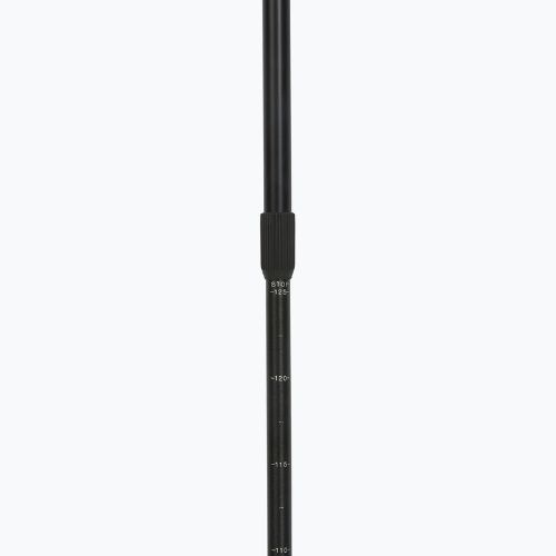 Fizan Smu Active black Nordic walking poles