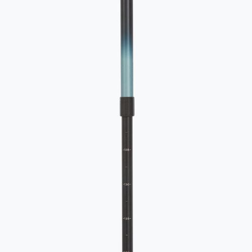 Fizan Smu Summit green trekking poles