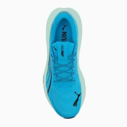 Men's running shoes PUMA MagMax Nitro mint melt/speed blue