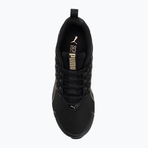 Women's running shoes PUMA MagMax Nitro puma black/puma gold