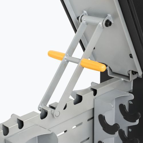 Set TREXO Bench Storage + dumbells Hex black