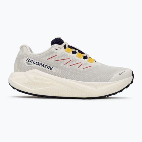 Women's running shoes Salomon Aero Blaze 3 Gravel GTX vanilla ice/astral aura/lemon