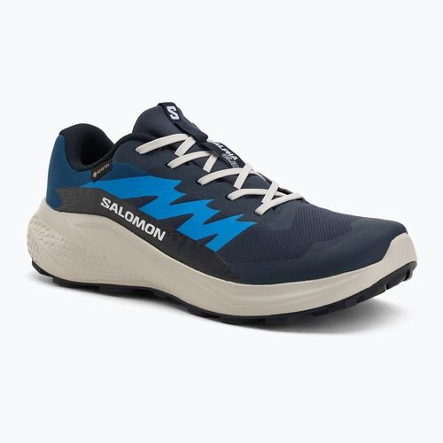 Men's running shoes Salomon Alphaglide GTX blue night/lunar rock/french blue