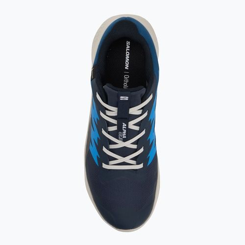 Men's running shoes Salomon Alphaglide GTX blue night/lunar rock/french blue