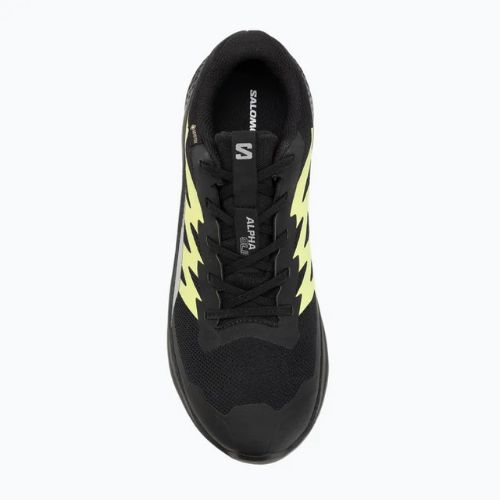 Men's running shoes Salomon Alphaglide GTX black/alloy/sharp green