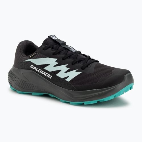 Women's running shoes Salomon Alphaglide GTX hantom/urban chic/waterfall