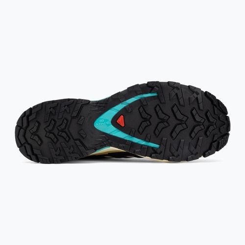 Women's running shoes Salomon XA PRO 3D V9 GTX transparent yellow/black/waterfall