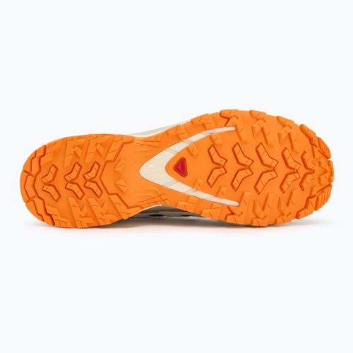 Men's running shoes Salomon XA PRO 3D V9 GTX black/vanilla ice/turmeric
