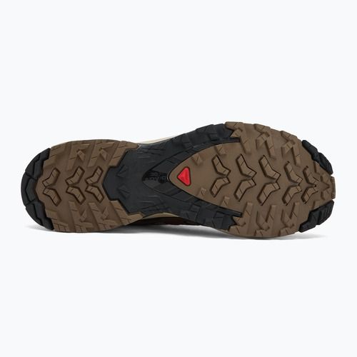 Men's running shoes Salomon XA Pro 3D V9 falcon/desert tan/black
