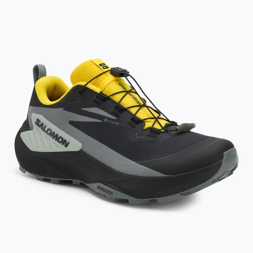 Men's running shoes Salomon Genesis GTX black/sedona sage/incaberry