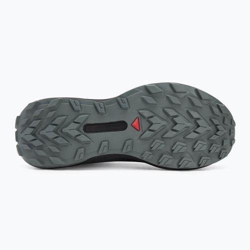 Men's running shoes Salomon Genesis GTX black/sedona sage/incaberry