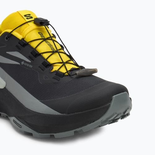 Men's running shoes Salomon Genesis GTX black/sedona sage/incaberry