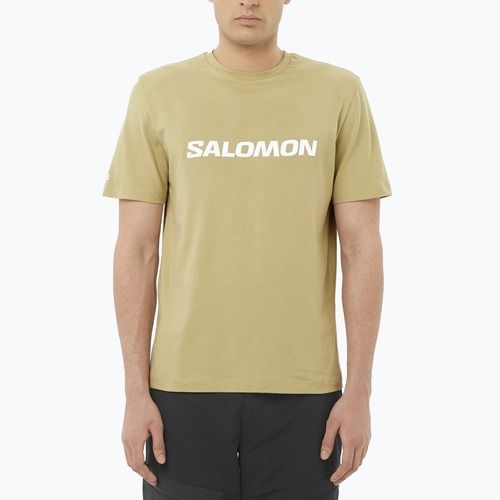 Men's T-shirt Salomon Logo gray green