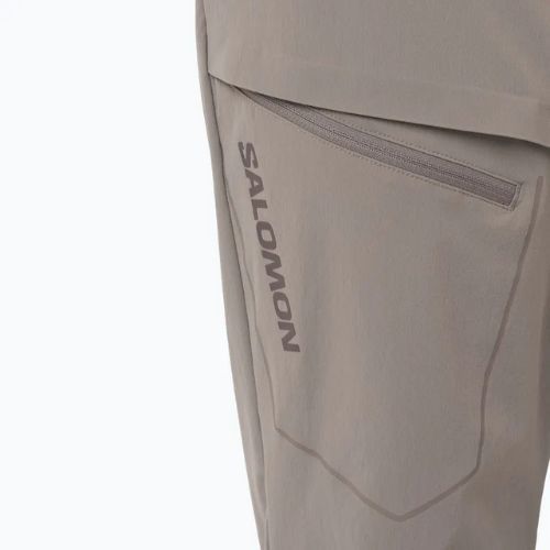 Men's trekking trousers Salomon Wayfarer iron