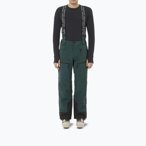Men's ski trousers Salomon Spectral green gables