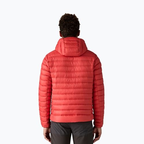 Men's down jacket Patagonia Down Sweater Hoody amanita red
