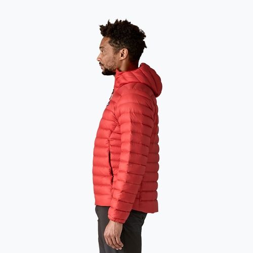 Men's down jacket Patagonia Down Sweater Hoody amanita red