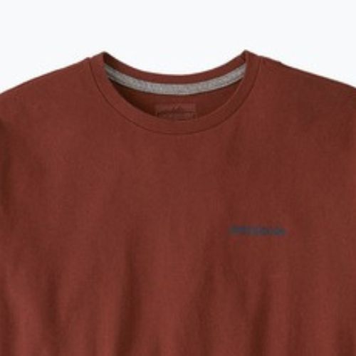 Men's T-shirt Patagonia Fitz Roy Icon Responsibili-Tee dried vanilla